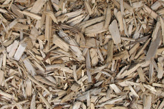 biomass boilers Sumburgh